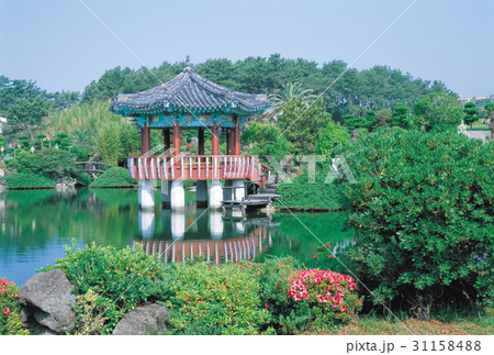 西帰浦市 池 済州島 31158488