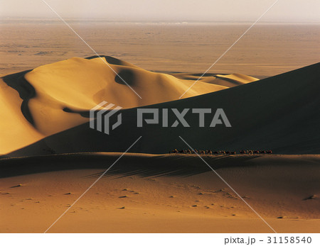ゴビ砂漠 ラクダ 砂漠 31158540
