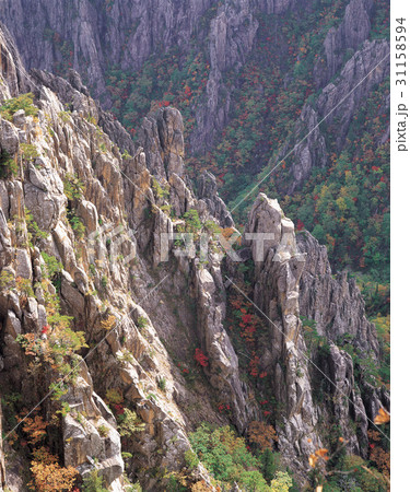 紅葉 岩 石 31158594