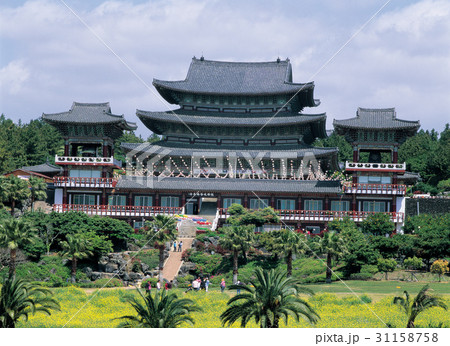 ヤシの木 薬泉寺 済州島 31158758