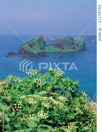 島 済州島 遮帰島 31158763