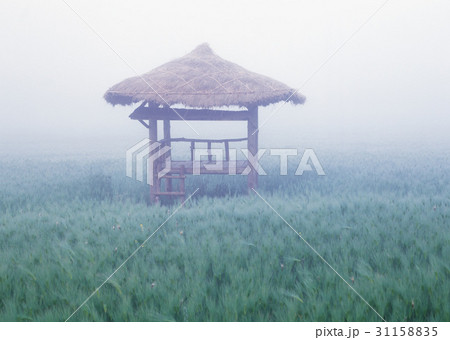 高敞郡 麦畑 番小屋 31158835