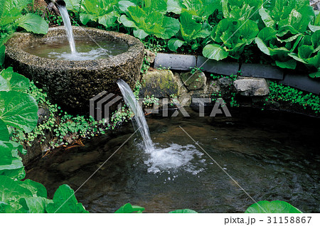 ボタプサ 泉 鎮川郡 31158867