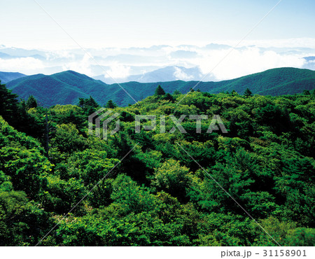 国立公園 徳裕山 茂朱郡 31158901