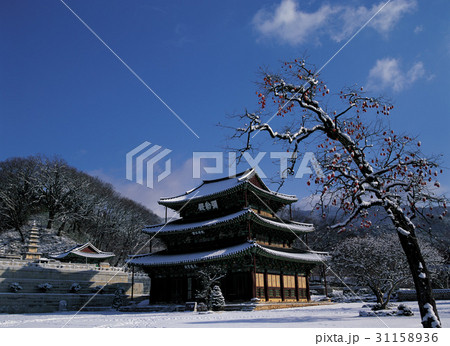 国宝 金山寺 金山寺弥勒殿 31158936