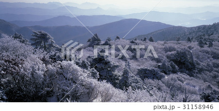 冬 徳裕山 全北 31158946