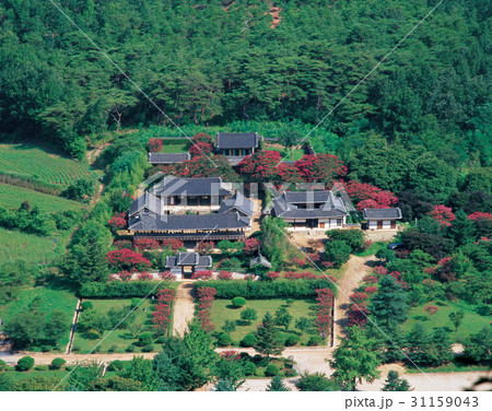 慶北 古建築 屏山書院 31159043