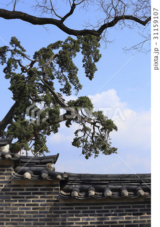 古建築 ソウル 松 31159107
