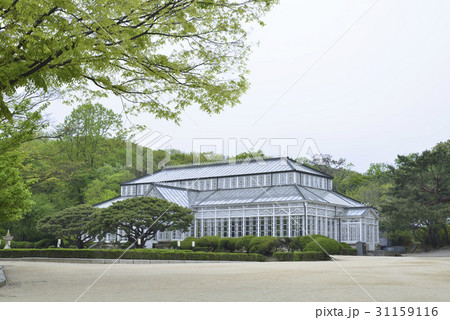 大温室 温室 鍾路区 31159116