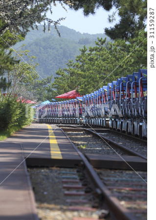 江原道 レールバイク 山 31159287