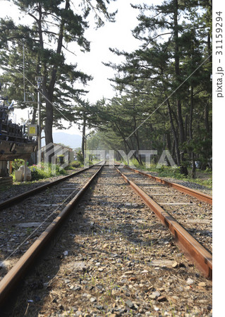 江原道 木 レールバイク 31159294