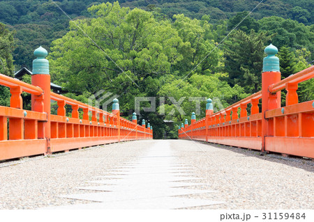 宇治 橘島から大吉山方面に向かって 31159484
