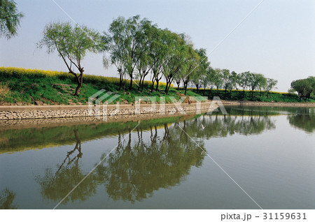 川 河 川沿い 31159631