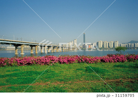 川 河 高層ビル 31159705