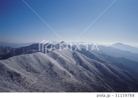 冬 民主地産 山 31159768