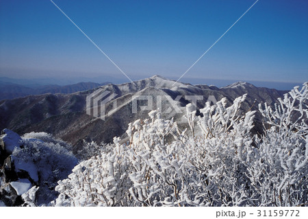 民主地産 雪景色 永同郡 31159772
