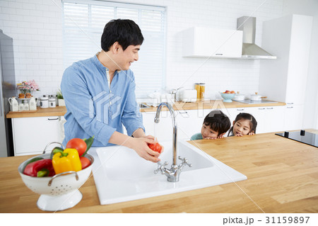 家族 ファミリー シンク 31159897
