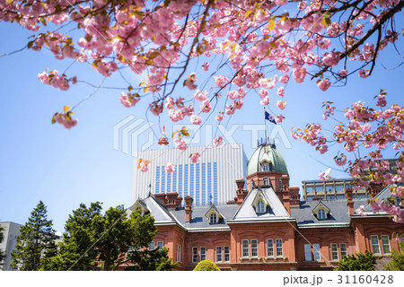 道庁 赤レンガ庁舎（+八重桜） 31160428