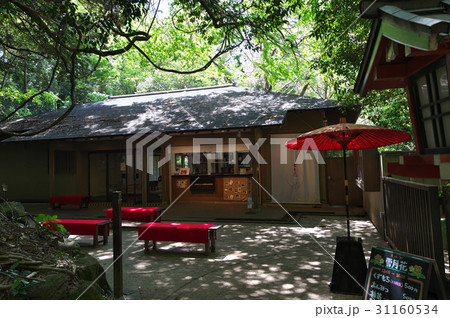 新緑に包まれる茶店 新緑に包まれる茶店 31160534