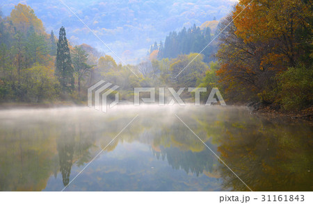 紅葉 セリャンか 全羅南道 31161843