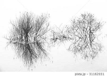 江原道 モノトーン 昭陽江 31162031