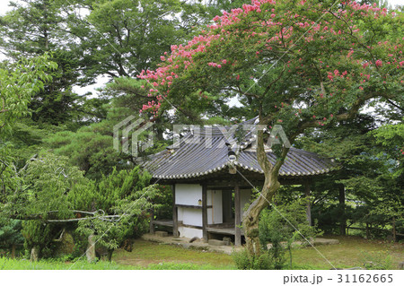 古建築 花 木 31162665