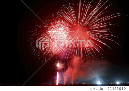 碧骨堤 花火 全北 31163019