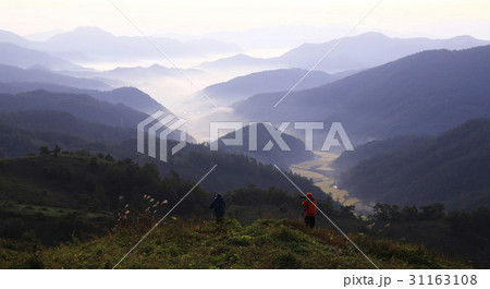 山 曙光牧場 自然 31163108