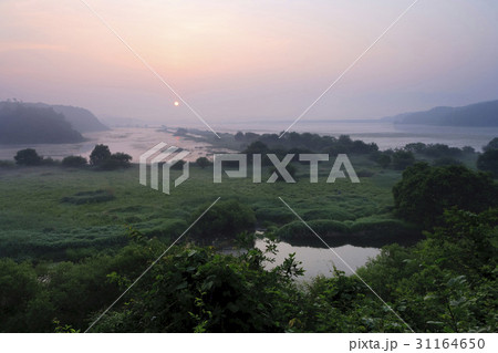 湿地 屋外 室外 31164650