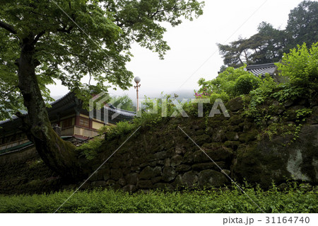 鶏龍山 ドンハクサ 山 31164740