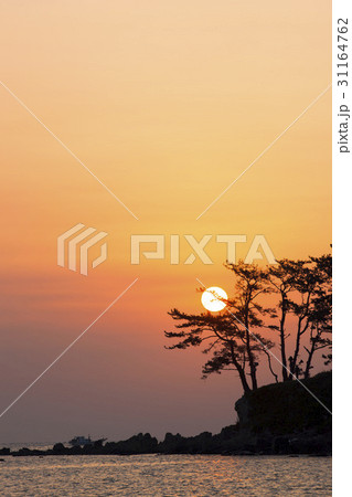 夕焼け ミョンソンド 松 31164762