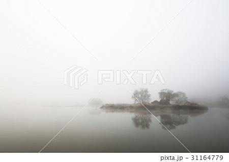 反射 反影 湿地 31164779