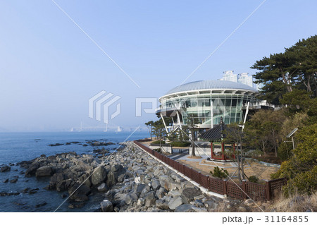 椿島 海 釜山 31164855