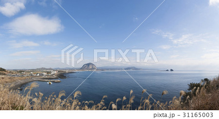 海 山房山 済州島 31165003