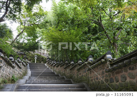 金井 竹 梵魚寺 31165091
