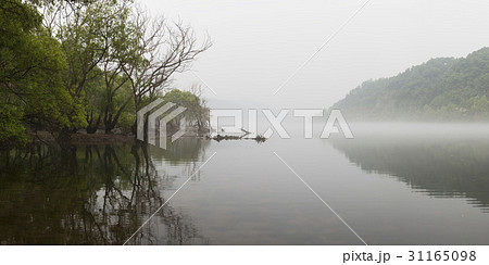 川 河 大田 31165098