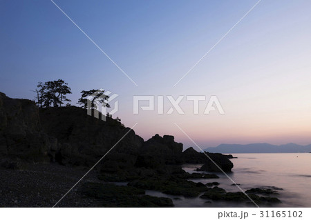 慶南 夕焼け 松 31165102