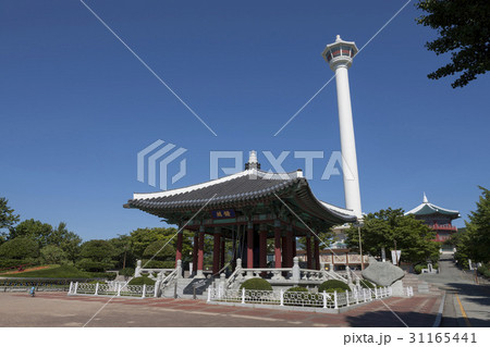 釜山 釜山市民の種 釜山タワー 31165441