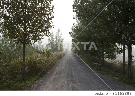 慶南 霧 遠近感 31165898