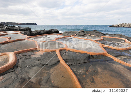 グオム浦 石塩田 塩田 31166027