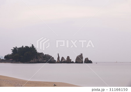 江原道 東海市 燭台岩 31166150