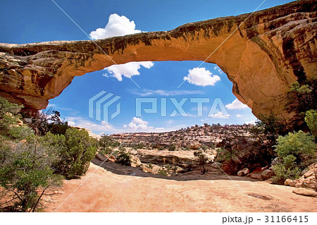 アメリカ 北アメリカ大陸 北米 31166415