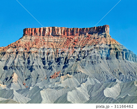 ローアングル 下アングル 低角度 31166462