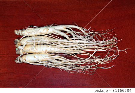 健康食品 ウェルネス ヘルシー 31166504