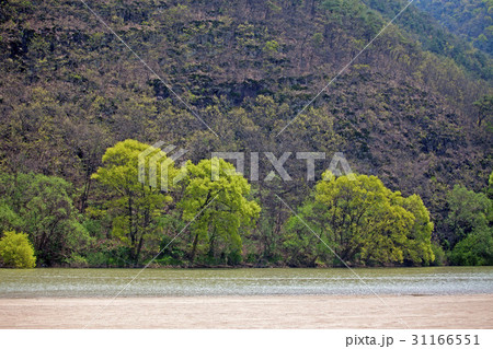 慶北 洛東江 山 31166551