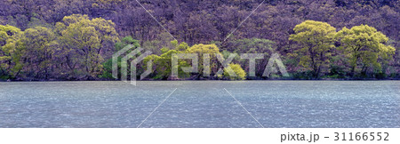 川 河 慶北 31166552