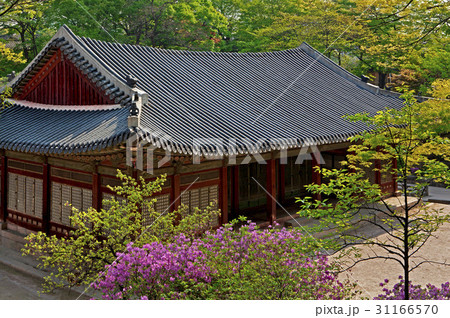 ソウル 洋画あたり 鍾路区 31166570