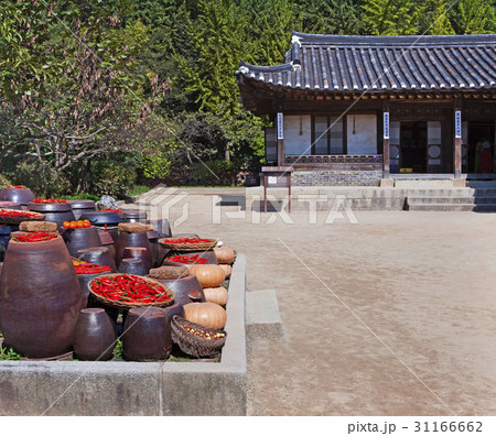 乾燥 唐辛子 民俗村 31166662