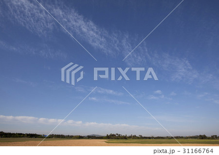 道路 永宗島 ヨンジョンド 31166764