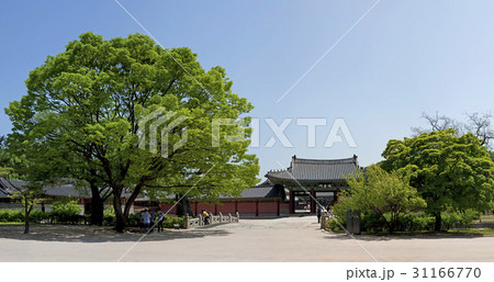 古建築 文化財 ジンソンムン 31166770